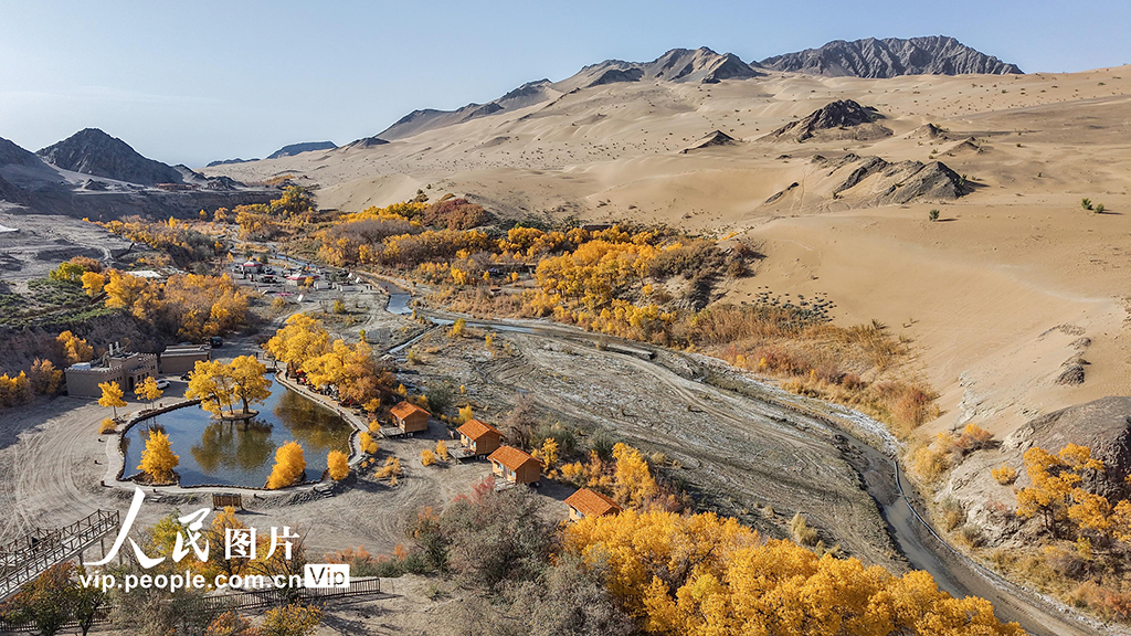 胡楊峽景區秋景如畫【4】