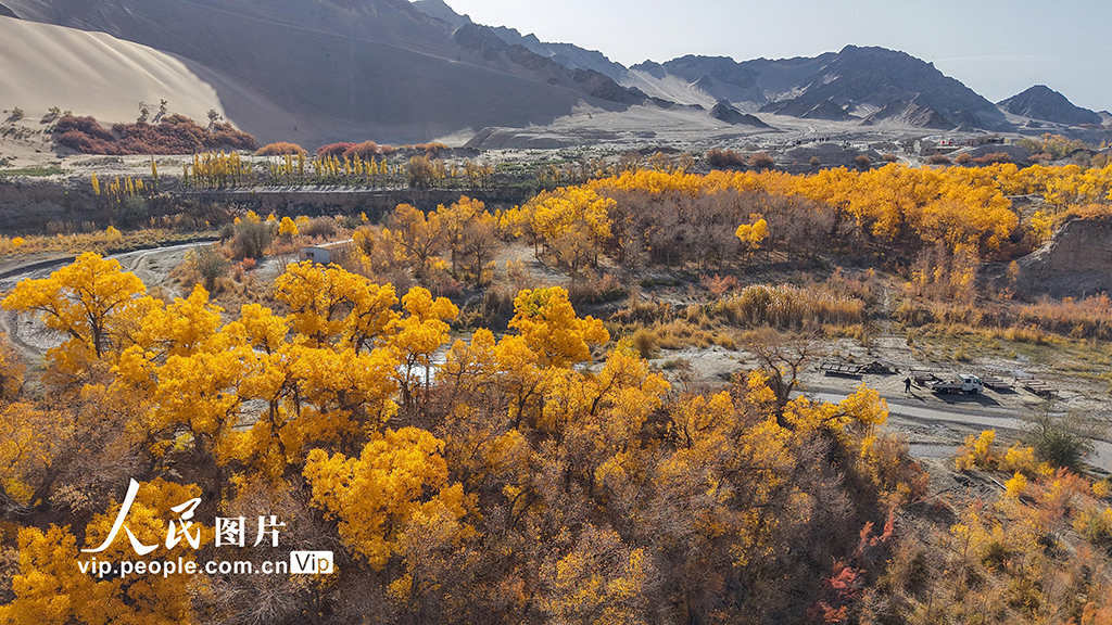 胡楊峽景區秋景如畫【2】