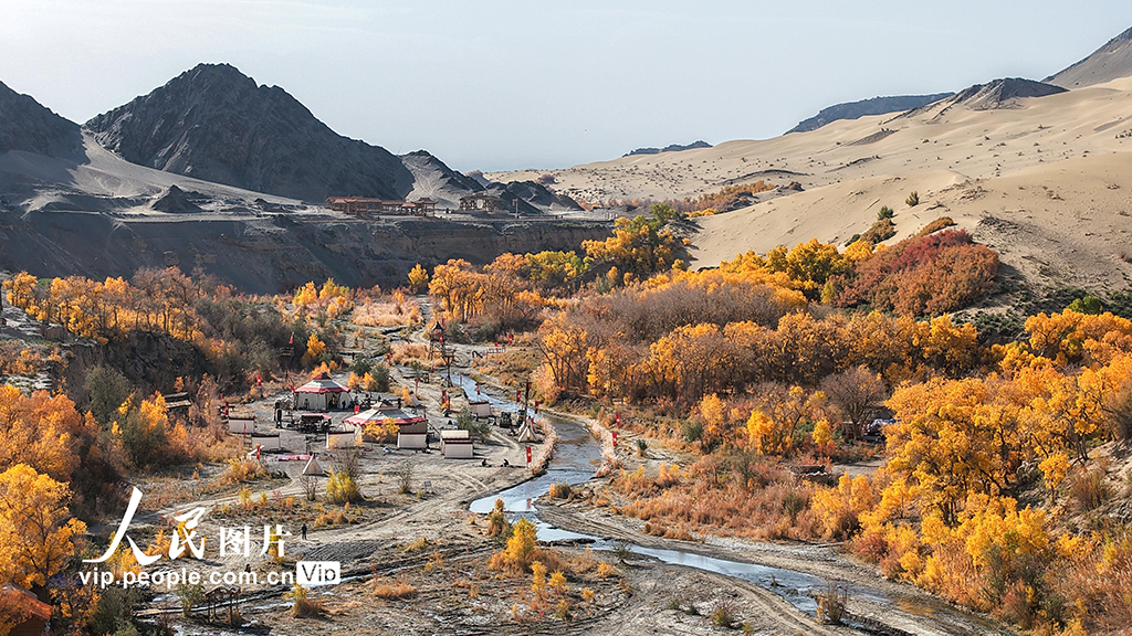 胡楊峽景區秋景如畫【5】