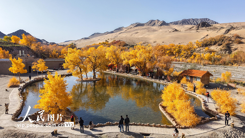 胡楊峽景區秋景如畫【6】