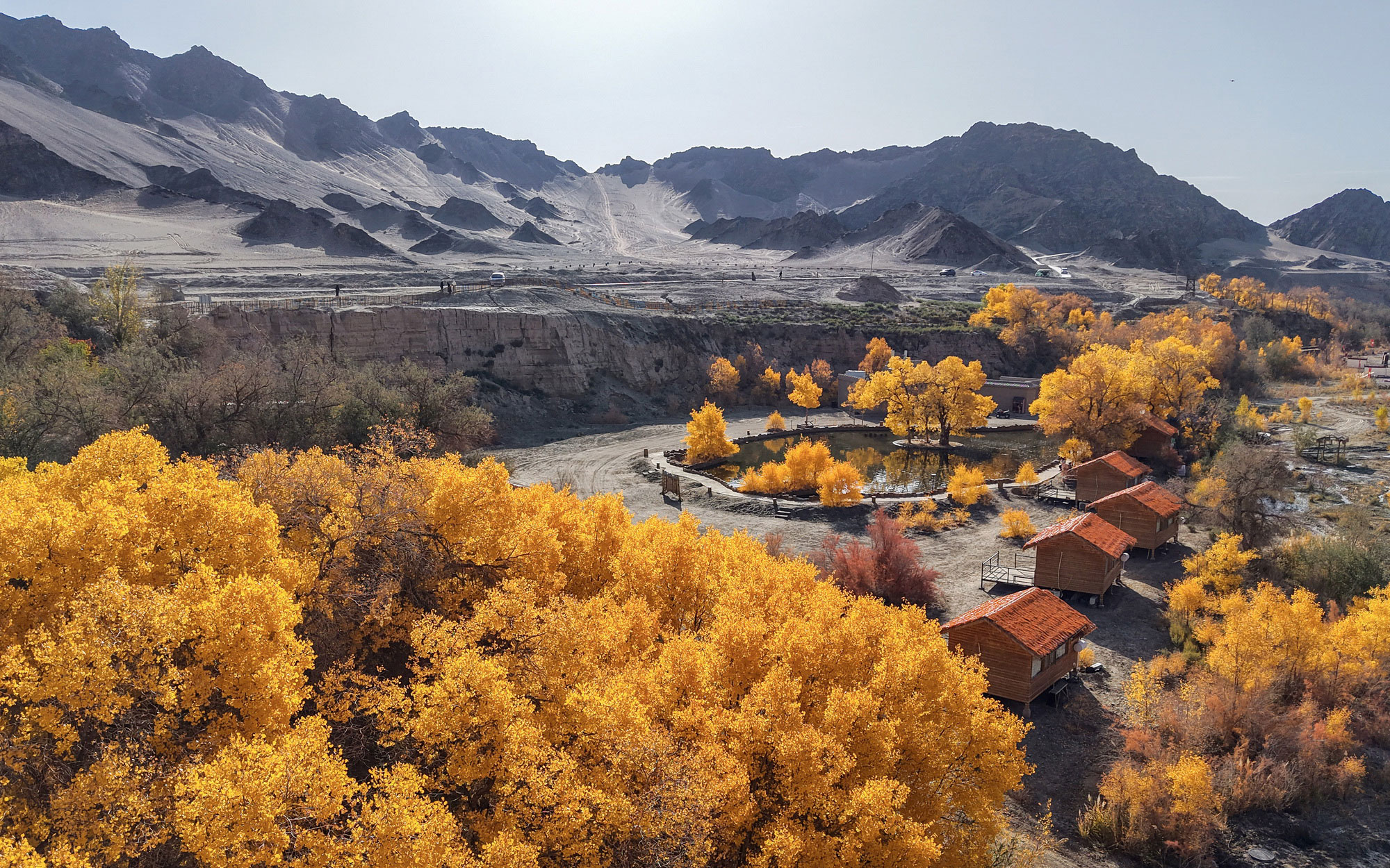 胡楊峽景區秋景如畫