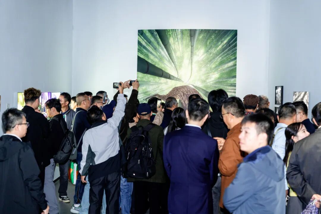 展覽現場。中國攝影家協會供圖