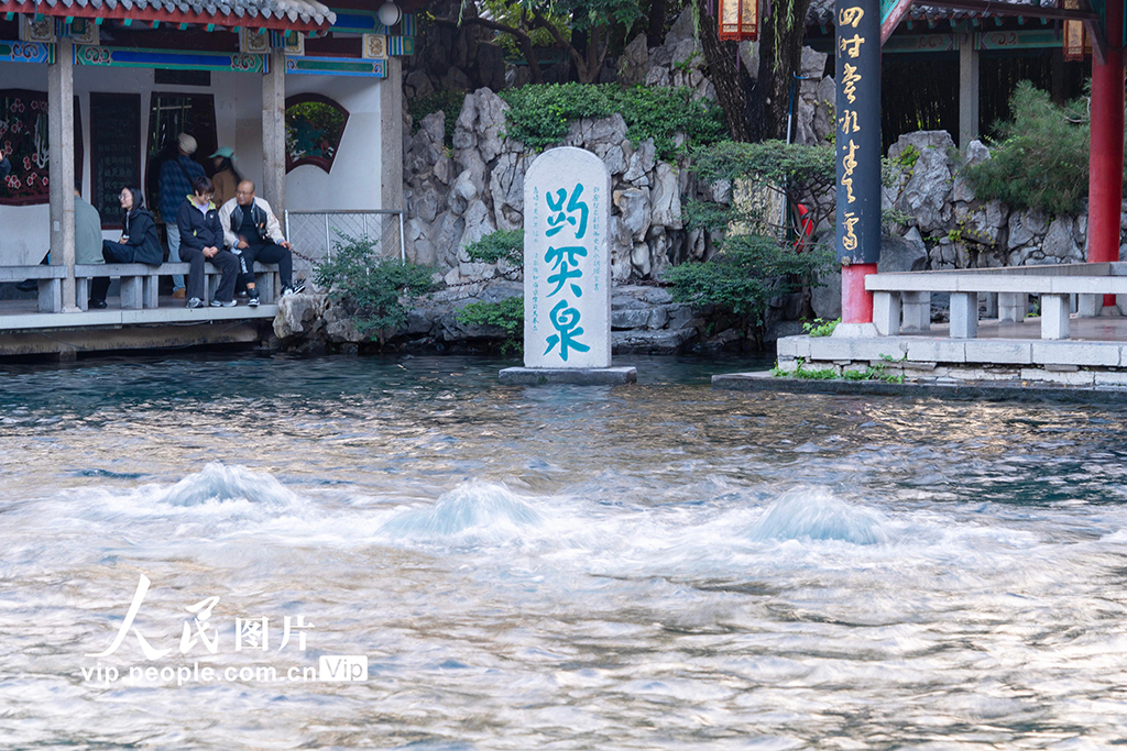 山東濟南:趵突泉再現“趵突騰空”景象【3】