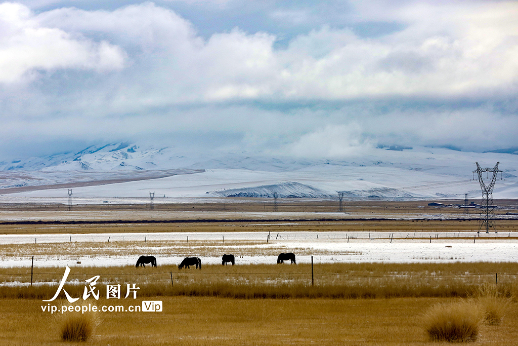 新疆哈密：秋日草原披銀裝【3】