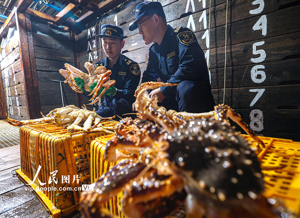 山東榮成：帝王蟹搶“鮮”通關 直達全國市場