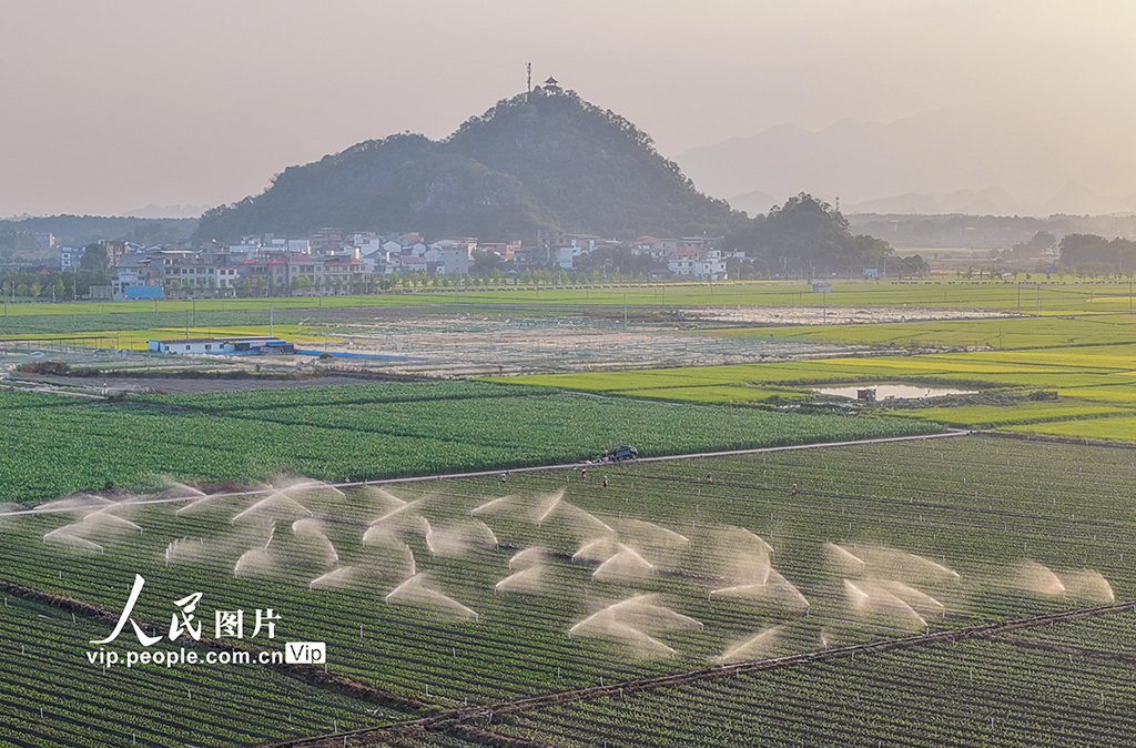 湖南道縣:節水灌溉促增收【2】