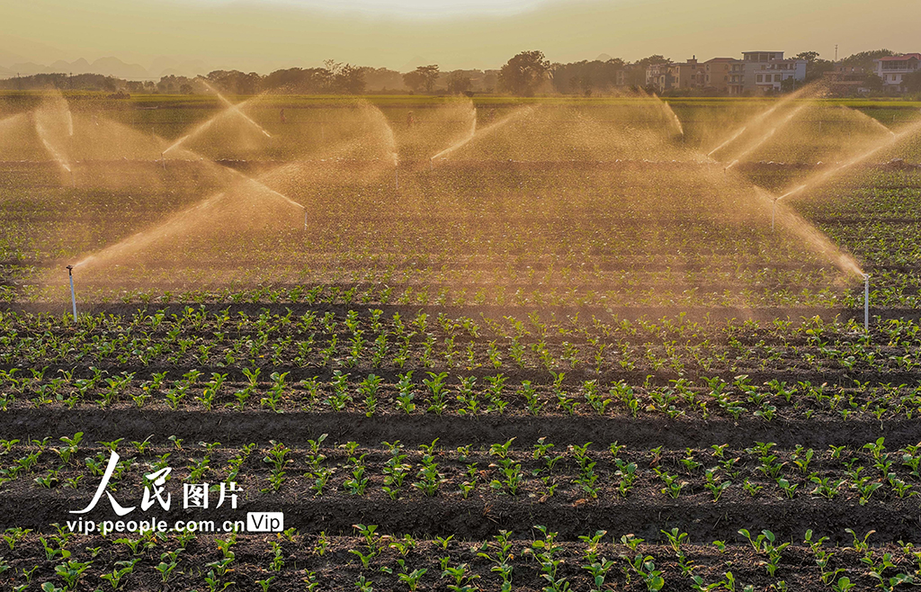 湖南道縣:節水灌溉促增收【3】