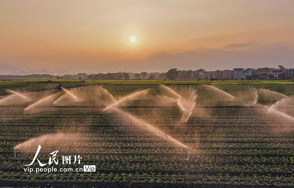 湖南道縣:節水灌溉促增收【7】