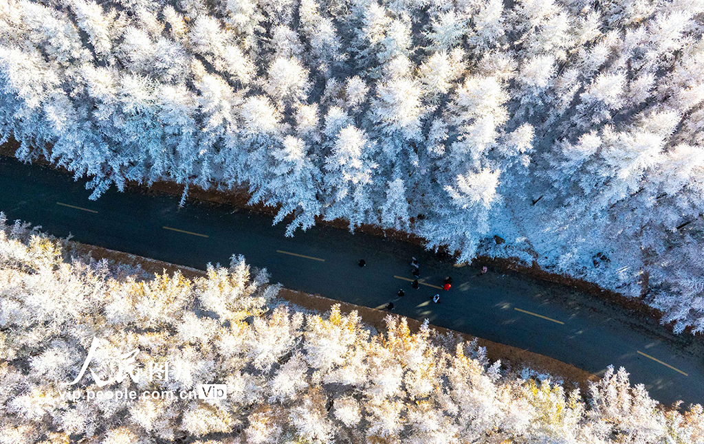 內蒙古呼和浩特:哈達門國家森林公園霧凇美如畫【2】