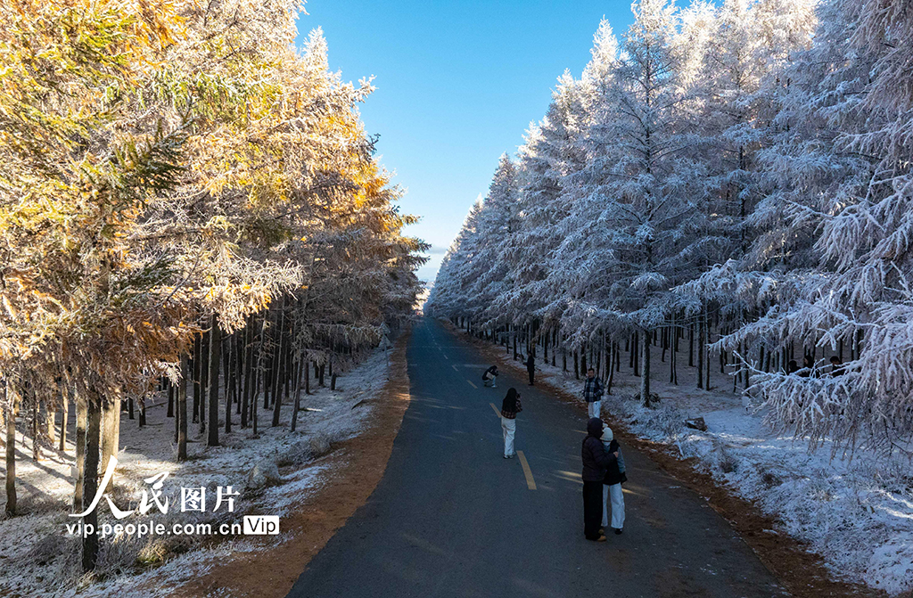 內蒙古呼和浩特:哈達門國家森林公園霧凇美如畫【3】