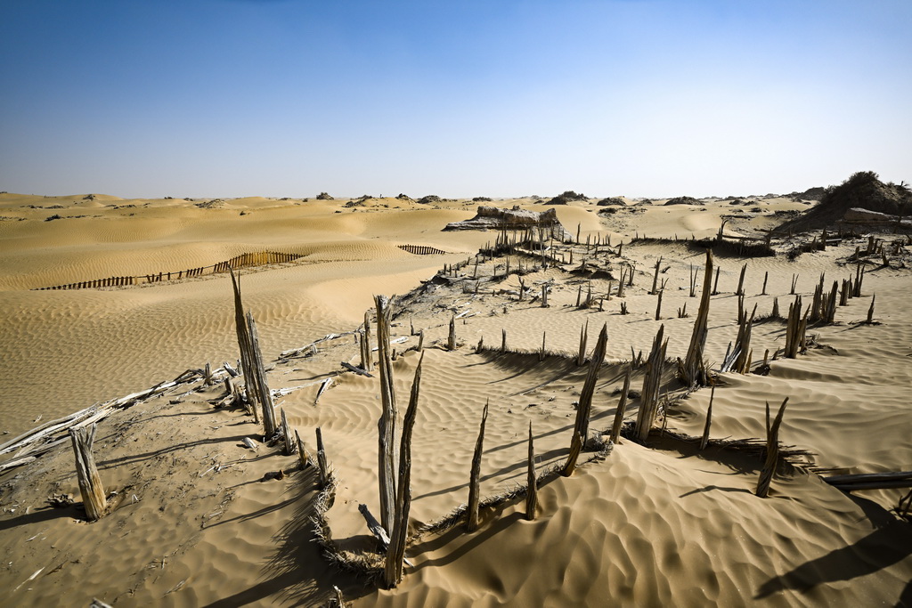 這是尼雅遺址內建筑遺跡等（10月17日攝）。
