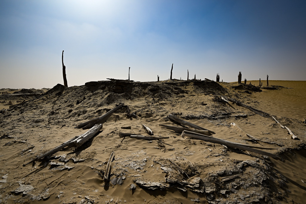 這是尼雅遺址內建筑遺跡等（10月17日攝）。