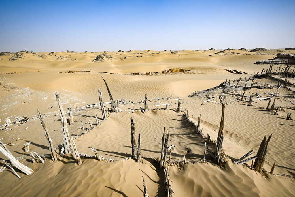 這是尼雅遺址內建筑遺跡等（10月17日攝）。