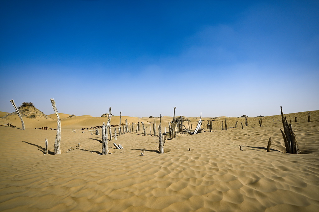 這是尼雅遺址內建筑遺跡等（10月17日攝）。