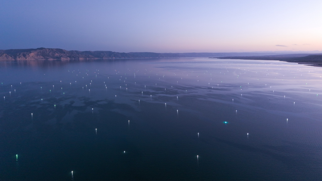 10月17日，龍羊峽庫區水面亮起盞盞漁燈（無人機照片）。