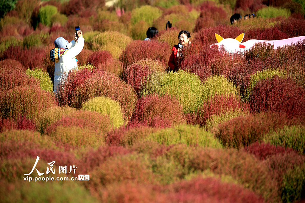 遼寧沈陽:賞秋正當時【3】