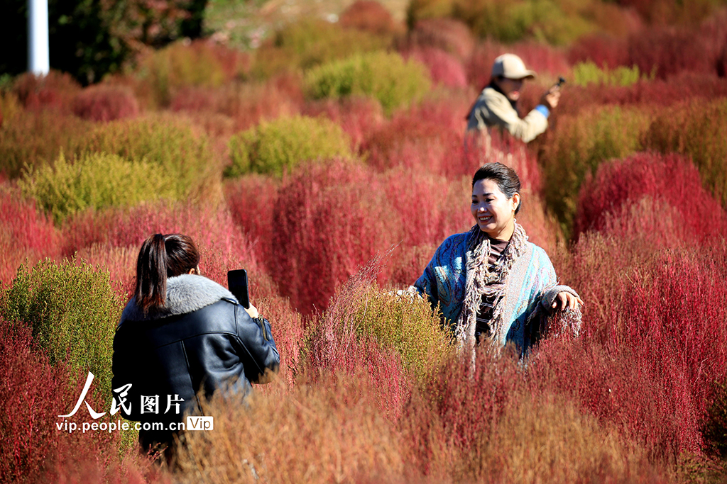 遼寧沈陽:賞秋正當時【5】