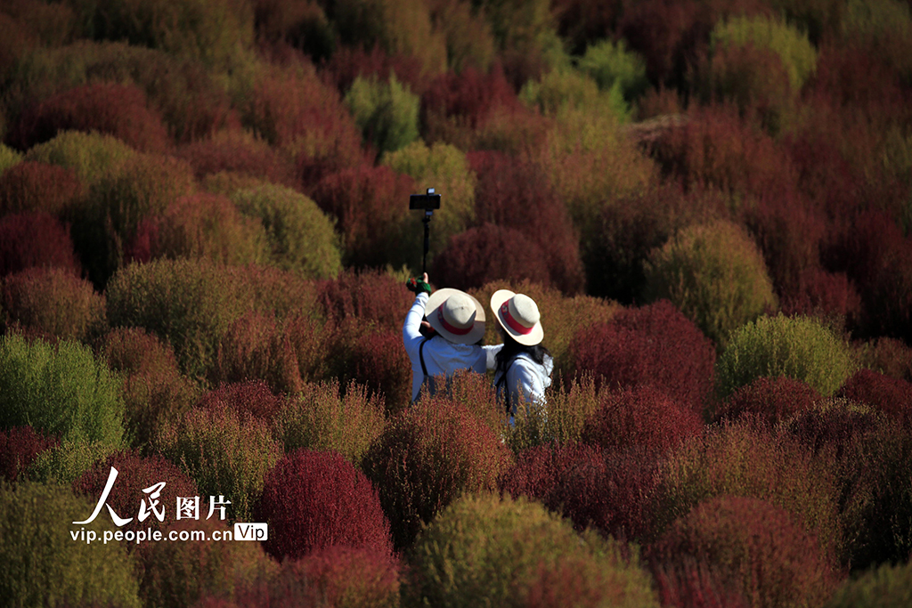 遼寧沈陽:賞秋正當時【6】