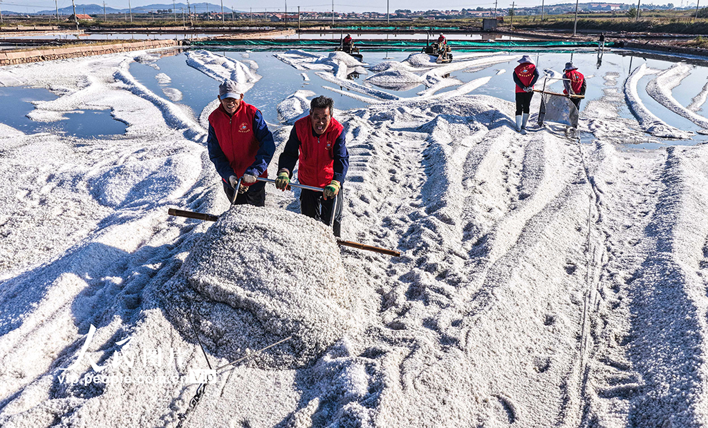 山東榮成:海鹽豐收【2】