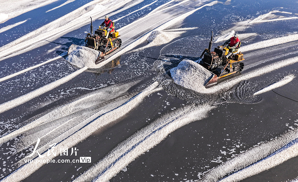 山東榮成:海鹽豐收【6】