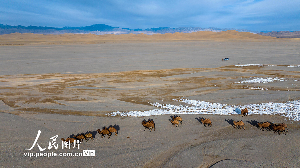 甘肅阿克塞：高原秋景入畫來【7】