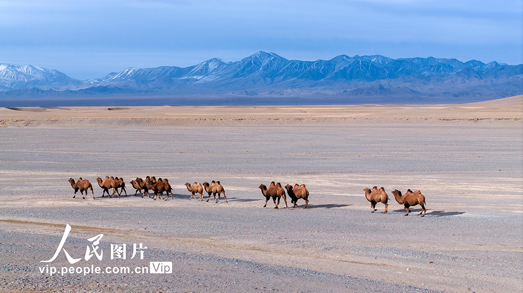 甘肅阿克塞：高原秋景入畫來【8】