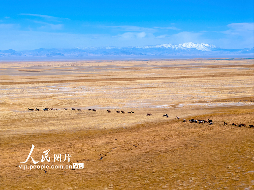 甘肅阿克塞：高原秋景入畫來【10】