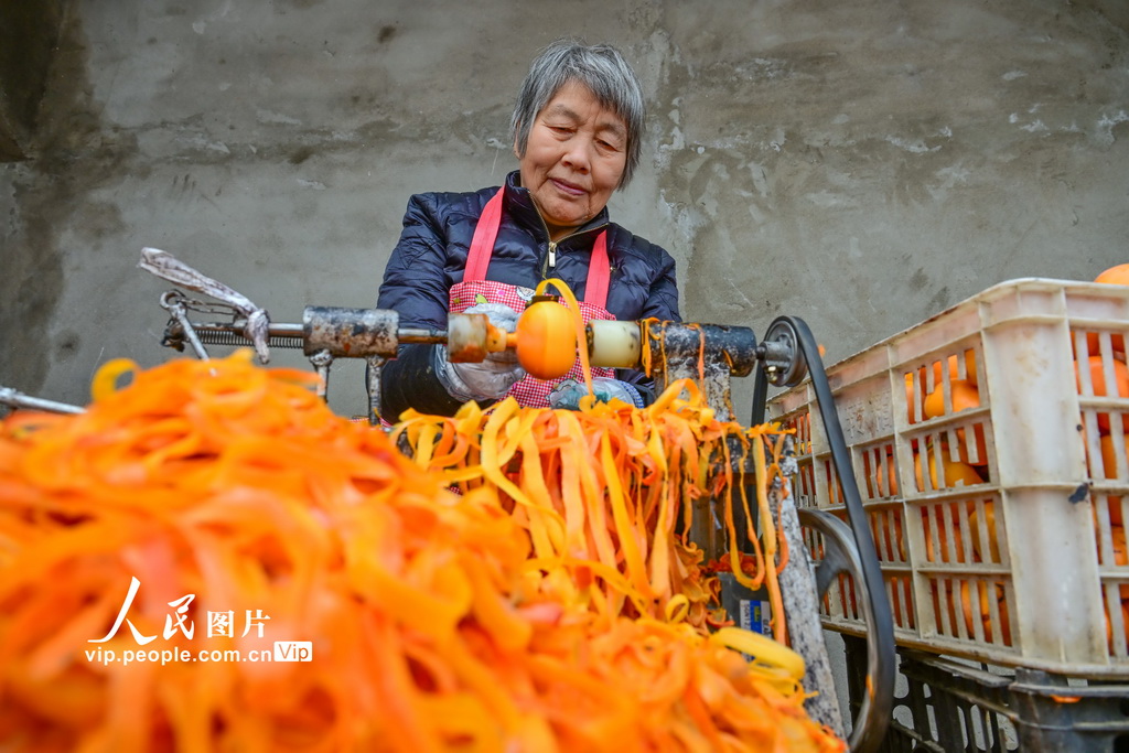 河南宜陽:柿餅加工【2】
