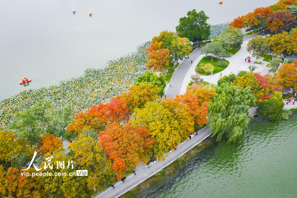 江蘇南京:玄武湖秋景如畫【3】