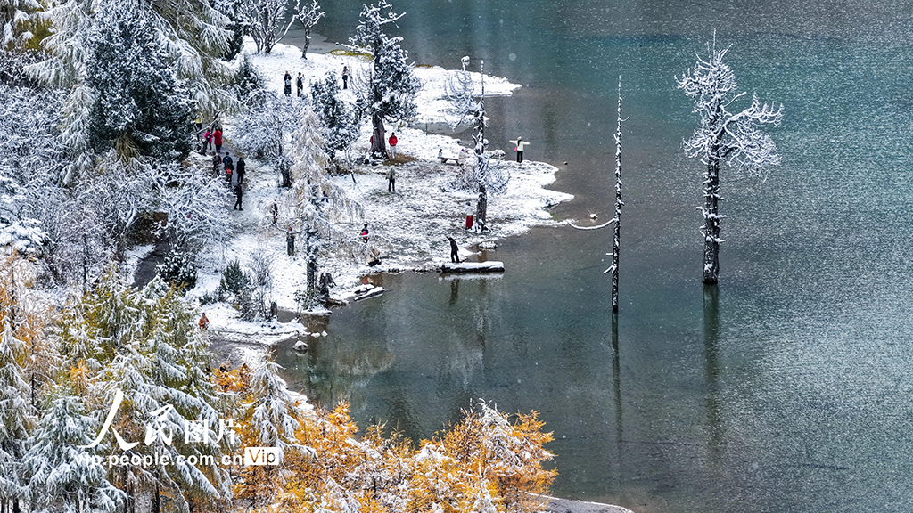 四川理縣：畢棚溝秋景迷人【4】