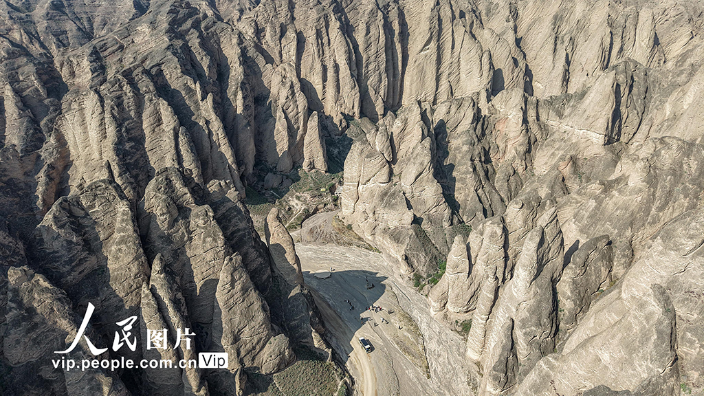 甘肅景泰：黃河石林風光壯美【3】