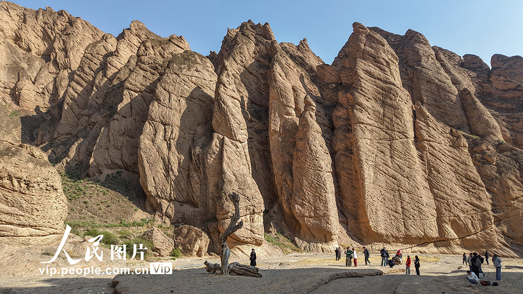 甘肅景泰：黃河石林風光壯美【4】