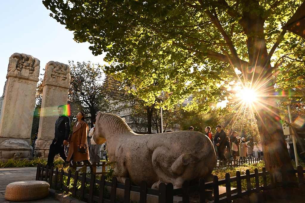 10月26日，游客在北京石刻藝術博物館游覽。