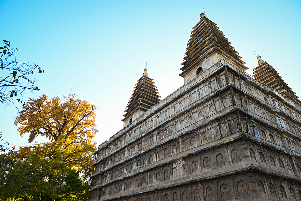 金剛寶座塔與泛黃的銀杏樹相映成趣（10月26日攝）。