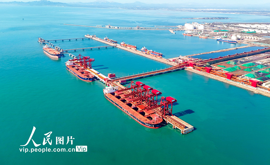 全國首個40萬噸干散貨數智碼頭在山東港口青島港投產【6】
