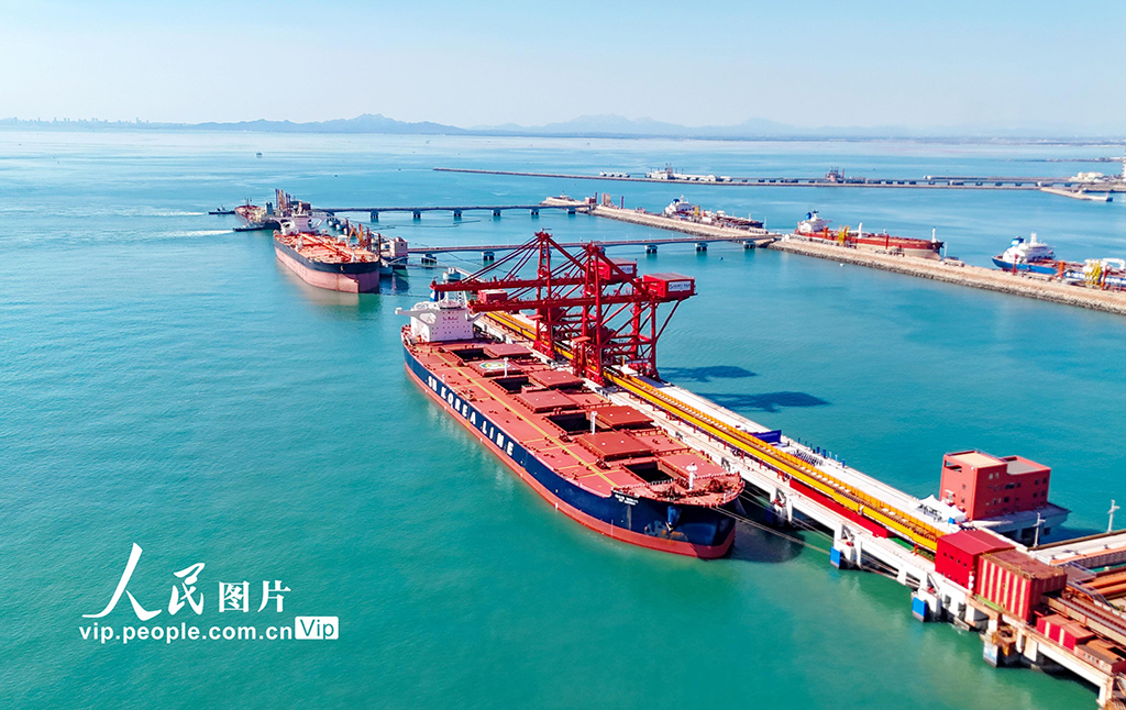 全國首個40萬噸干散貨數智碼頭在山東港口青島港投產【7】