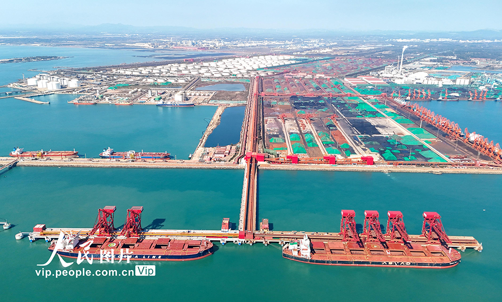 全國首個40萬噸干散貨數智碼頭在山東港口青島港投產【8】