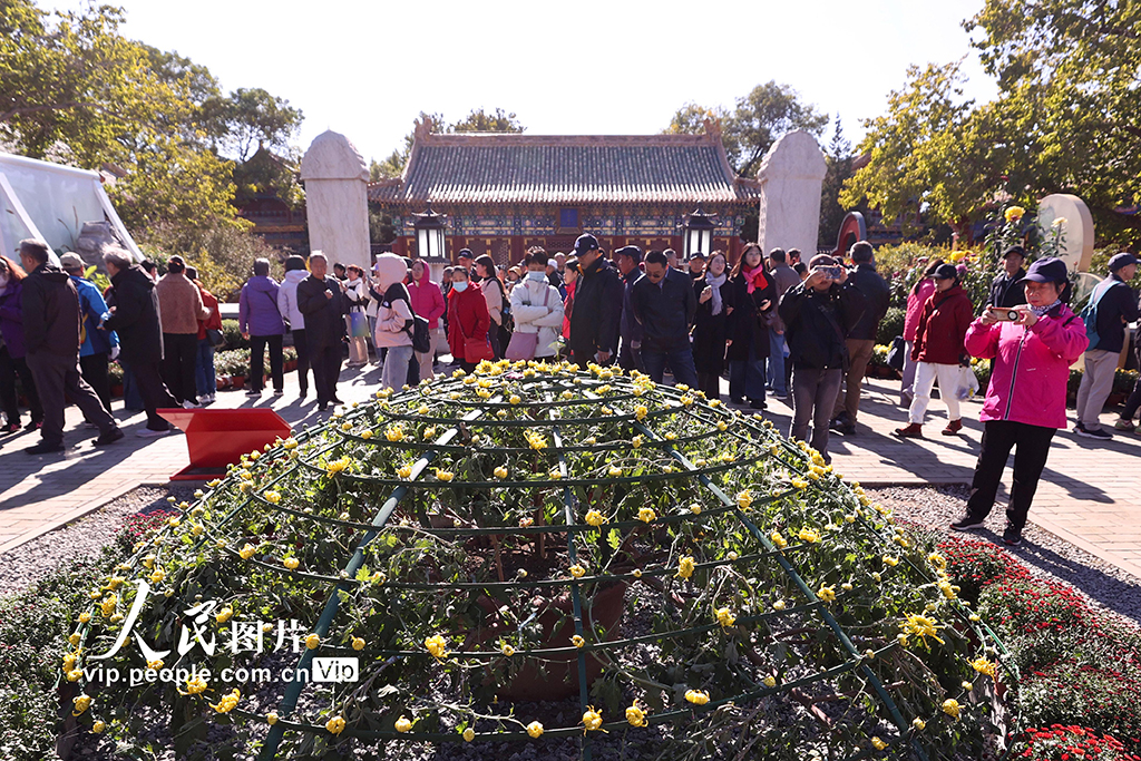北京:北海公園菊花盛開【2】