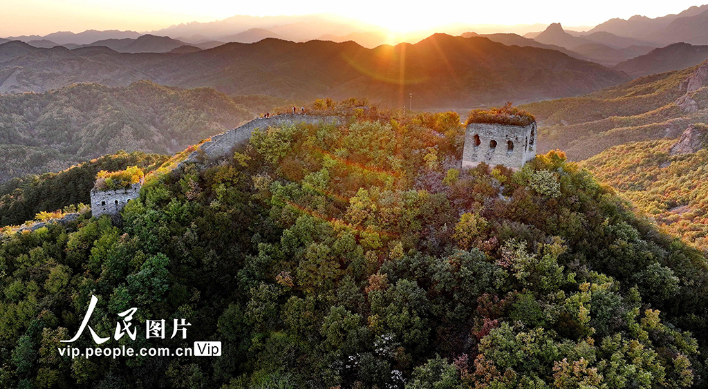 河北秦皇島:彩葉映長城【4】