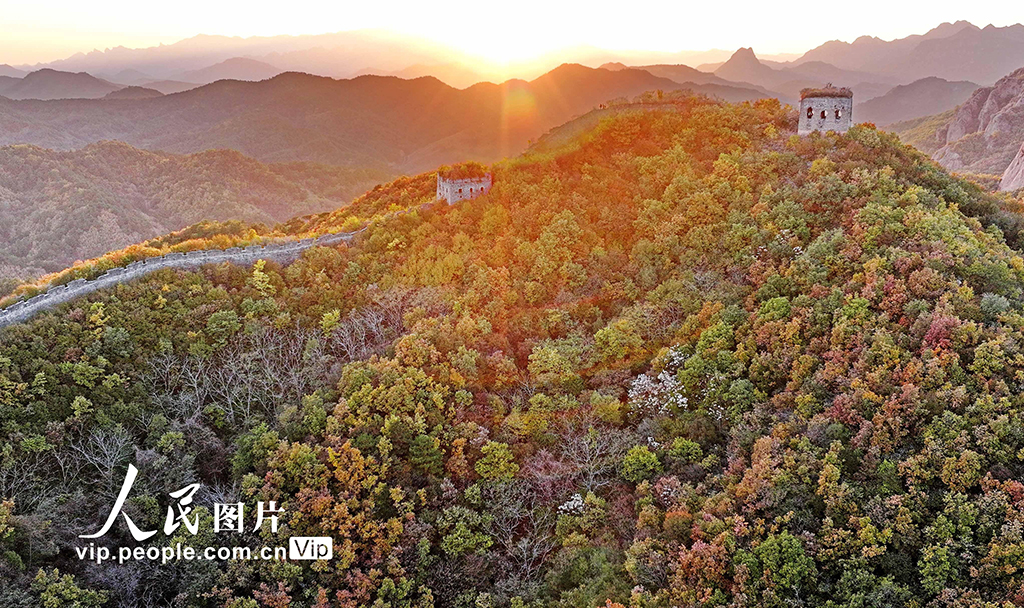 河北秦皇島:彩葉映長城【6】