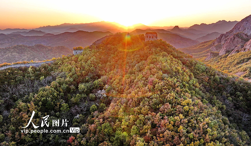 河北秦皇島:彩葉映長城【7】