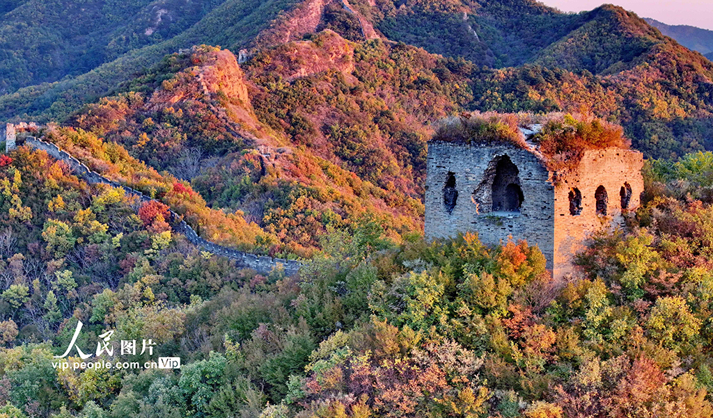 河北秦皇島:彩葉映長城【9】