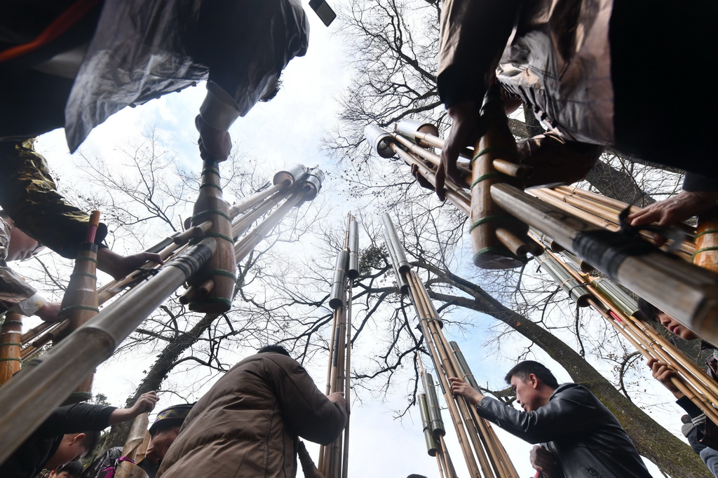 在廣西柳州市融水苗族自治縣桿洞鄉烏英苗寨，村民們在樹下吹蘆笙，歡度春節（2025年1月29日攝）。
