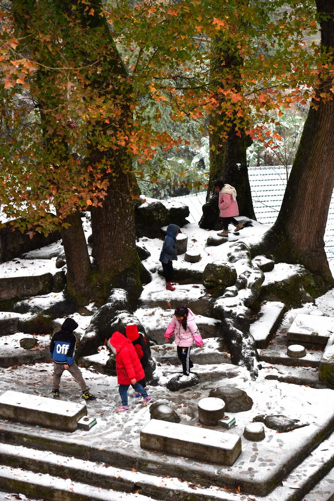 在廣西柳州市融水苗族自治縣桿洞鄉烏英苗寨，孩子們在樹下玩雪（2021年12月26日攝）。