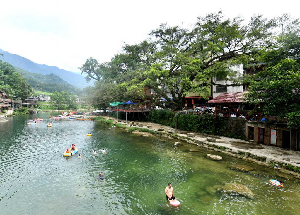 在廣西柳州市融水苗族自治縣香粉鄉雨卜村，游客在樹旁的河里戲水（2025年7月20日攝）。