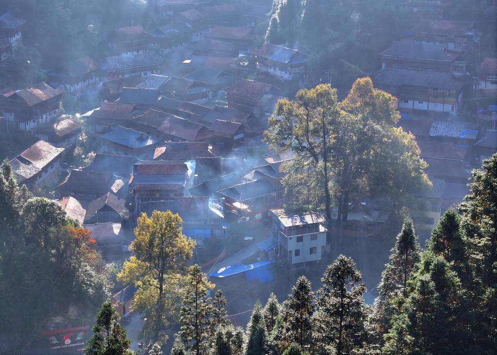 樹木掩映下的廣西柳州市融水苗族自治縣桿洞鄉烏英苗寨（無人機照片，2024年11月9日攝）。