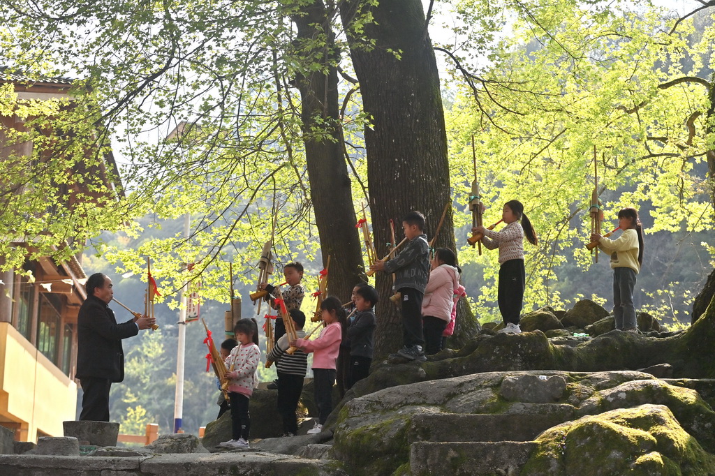 在廣西柳州市融水苗族自治縣桿洞鄉烏英苗寨，師生們在樹下吹蘆笙（2025年3月28日攝）。