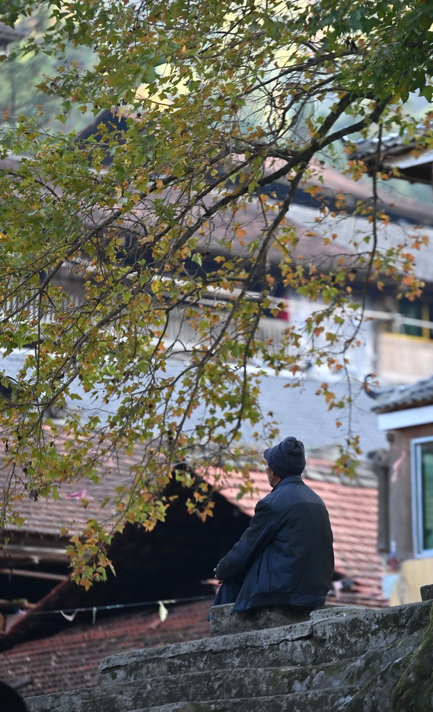 在廣西柳州市融水苗族自治縣桿洞鄉烏英苗寨，老人在樹下休息（2024年11月7日攝）。