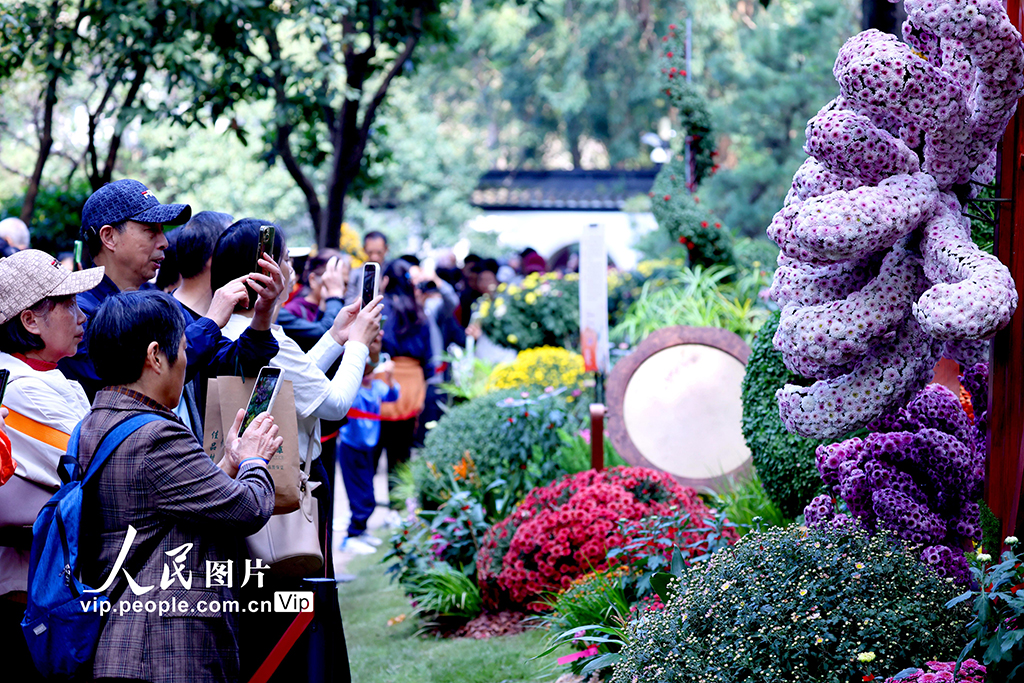 浙江杭州:菊花盛開游客來【4】
