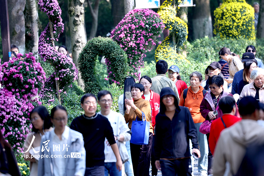 浙江杭州:菊花盛開游客來【6】